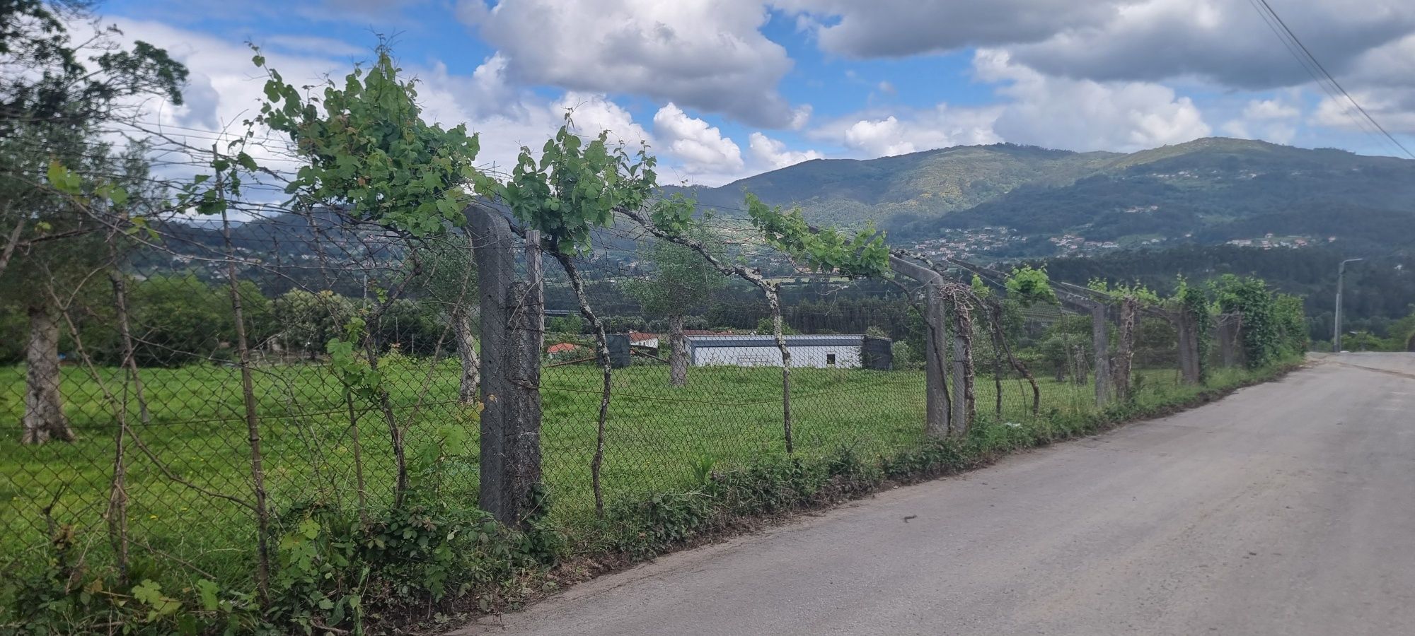 Quinta do Carvalhal