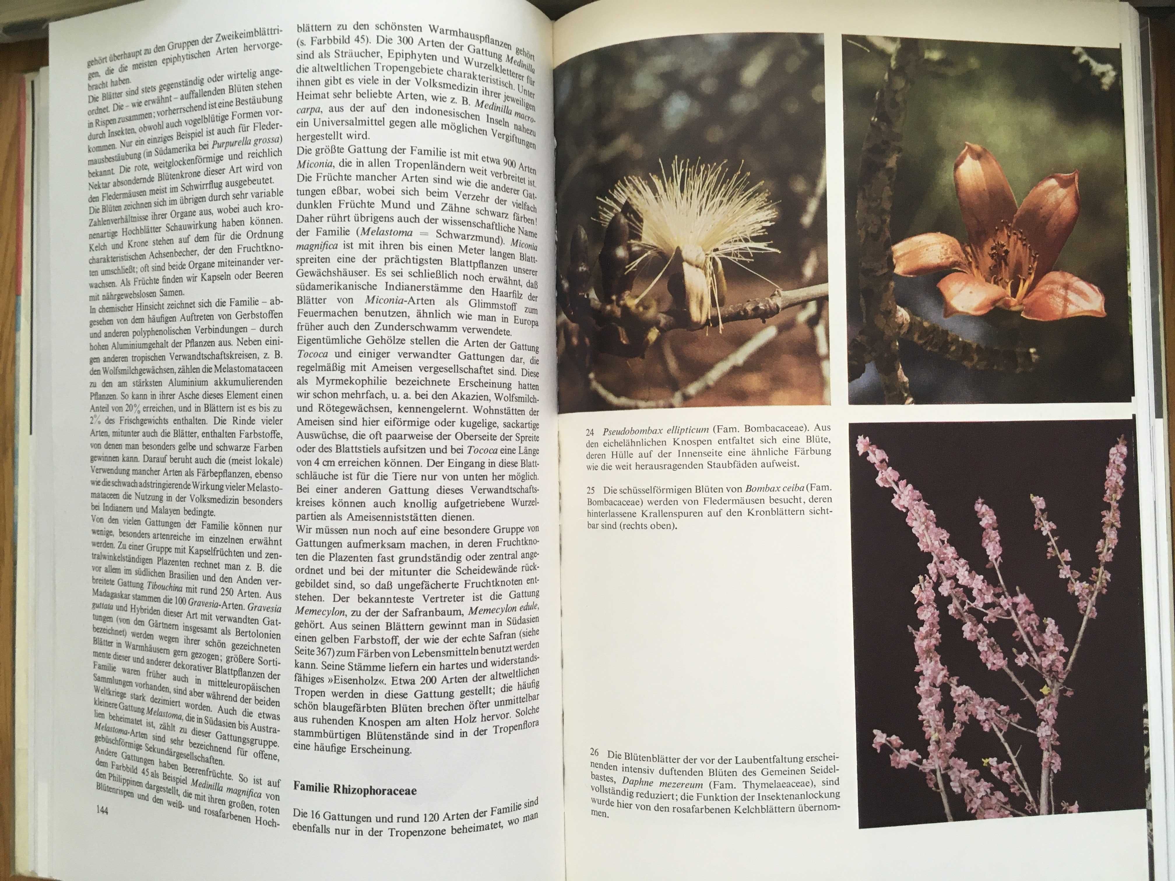 Urania Tierreich, энциклопедия на немецком, растения, птицы, насекомые