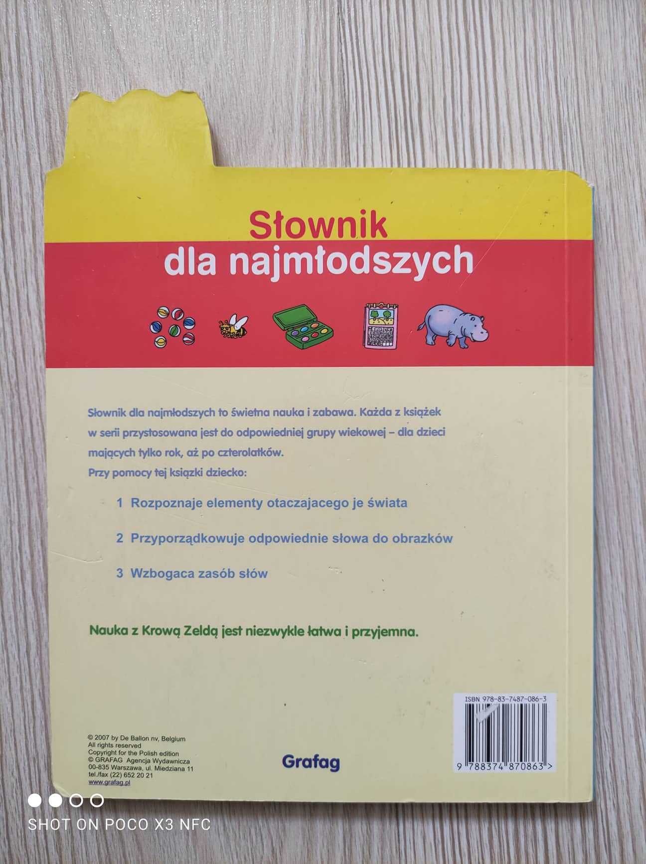 Książka dla dzieci: Słownik dla najmłodszych