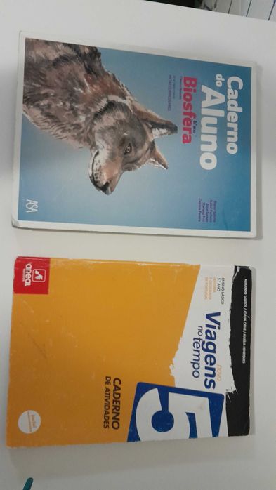 cadernos de atividades 5º ano