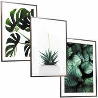 30x40 obrazy w ramie plakaty ramka  PLAKAT MONSTERA