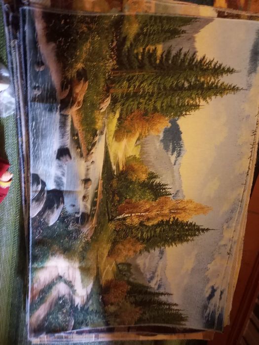 Картина (гобелен)70 ×110см