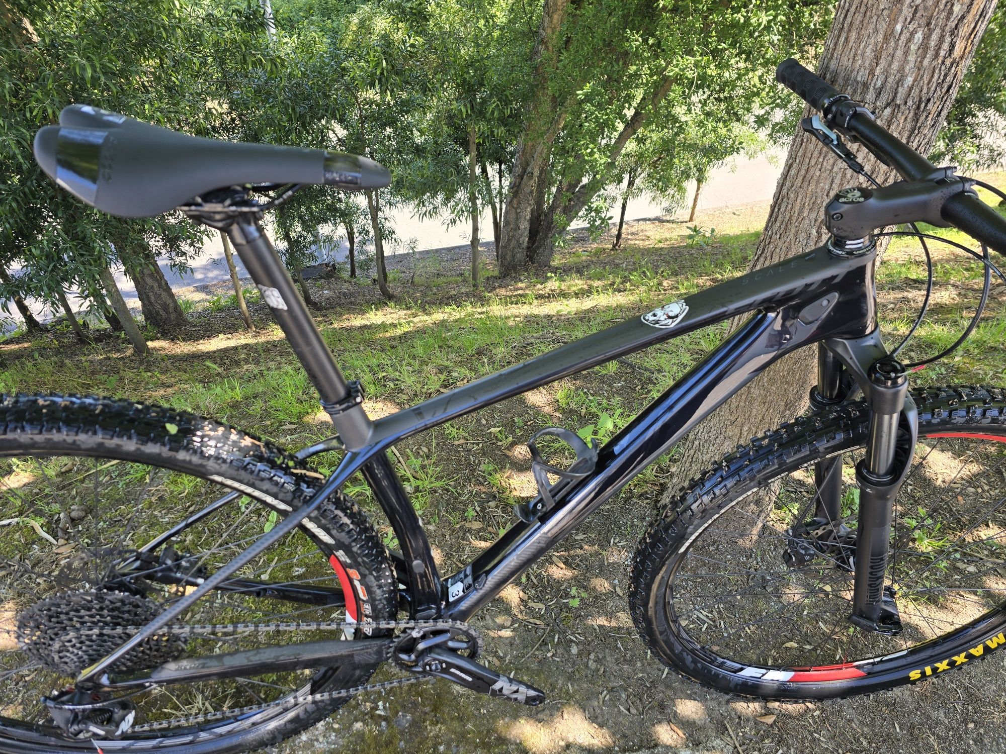 Scott scale 29 12x1v m