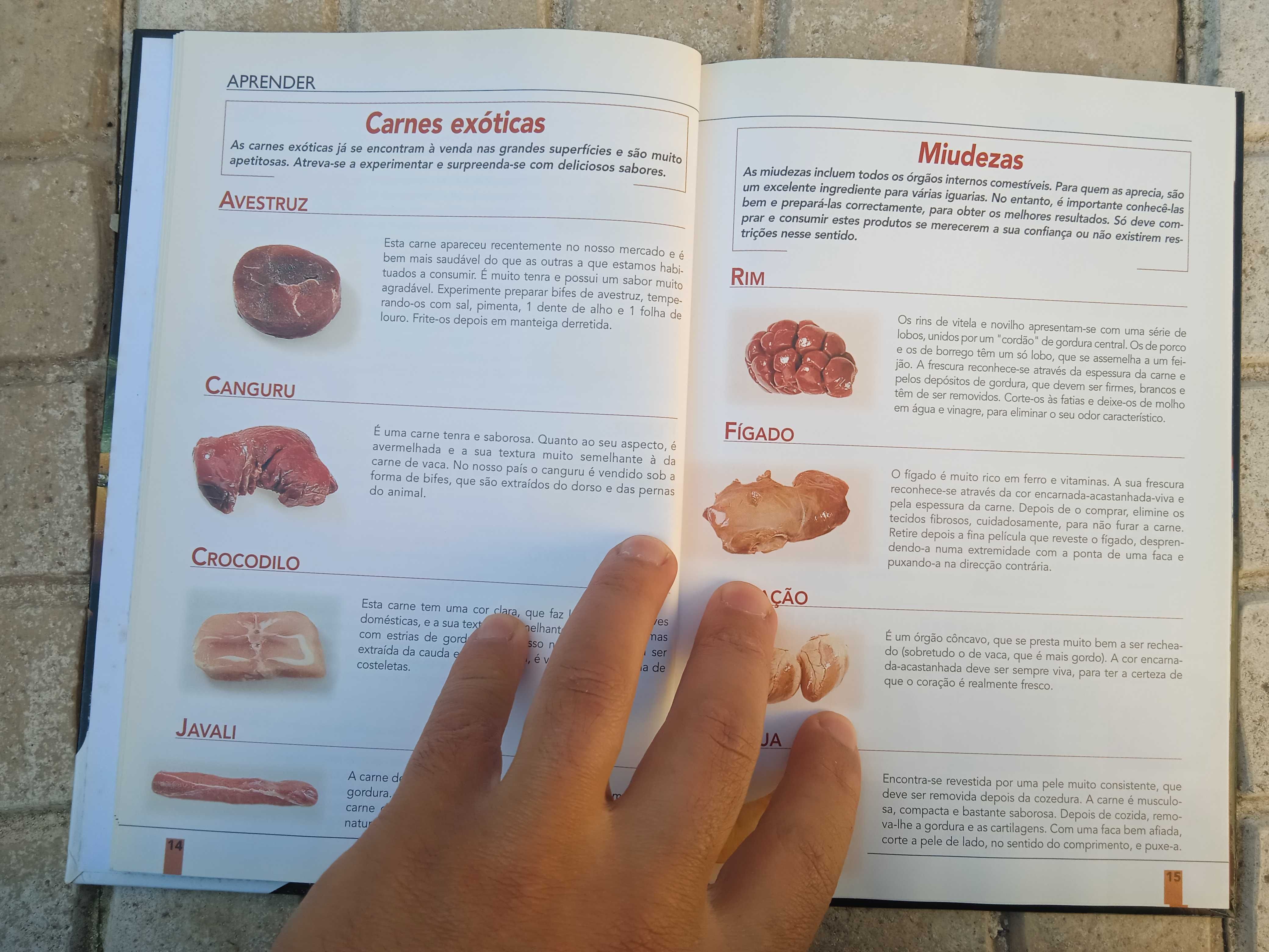 Livro - Para Bem Cozinhar Carnes