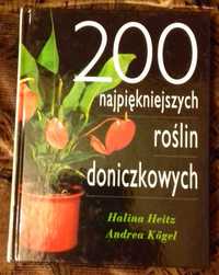 200 najpiękniejszych roślin doniczkowych