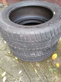 Зимові шини DUNLOP  225/55 R17