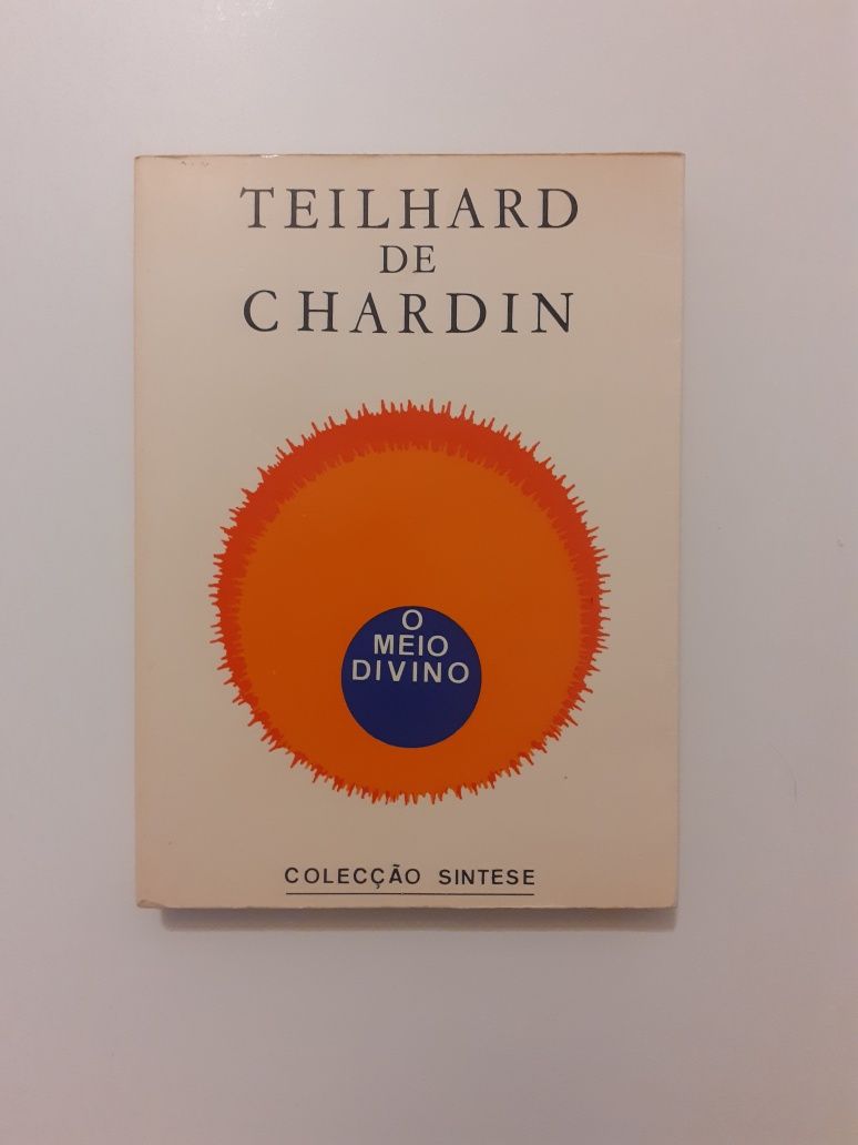 Teilhard de Chardin, O meio divino