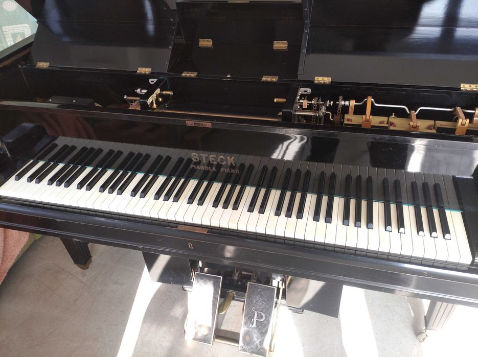 Dla Kolekcjonera Perełka Fortepian bez pianisty i działa pianola