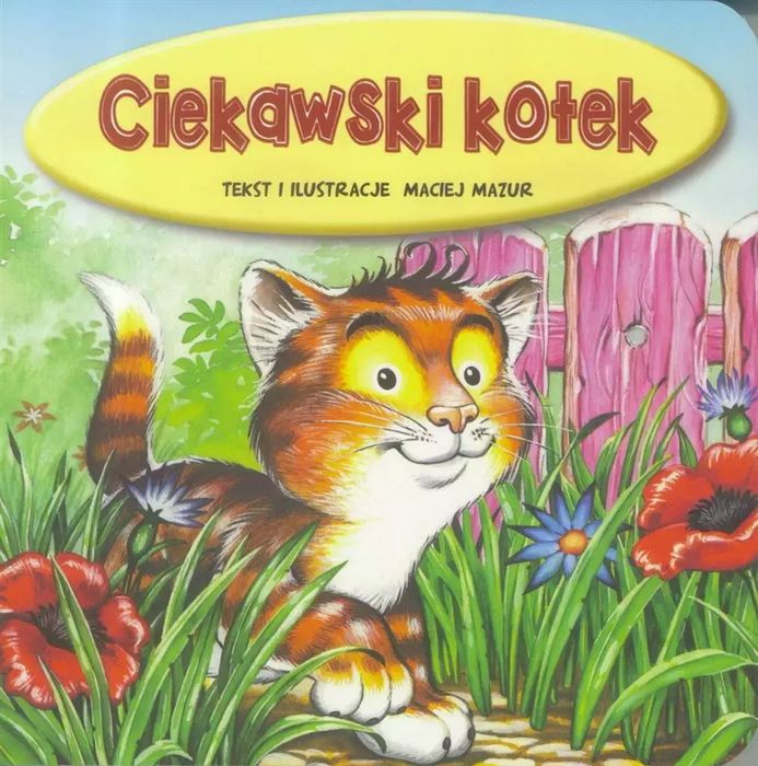 Ciekawski kotek. Jafi