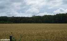 Duża działka nad morzem Szczenurze