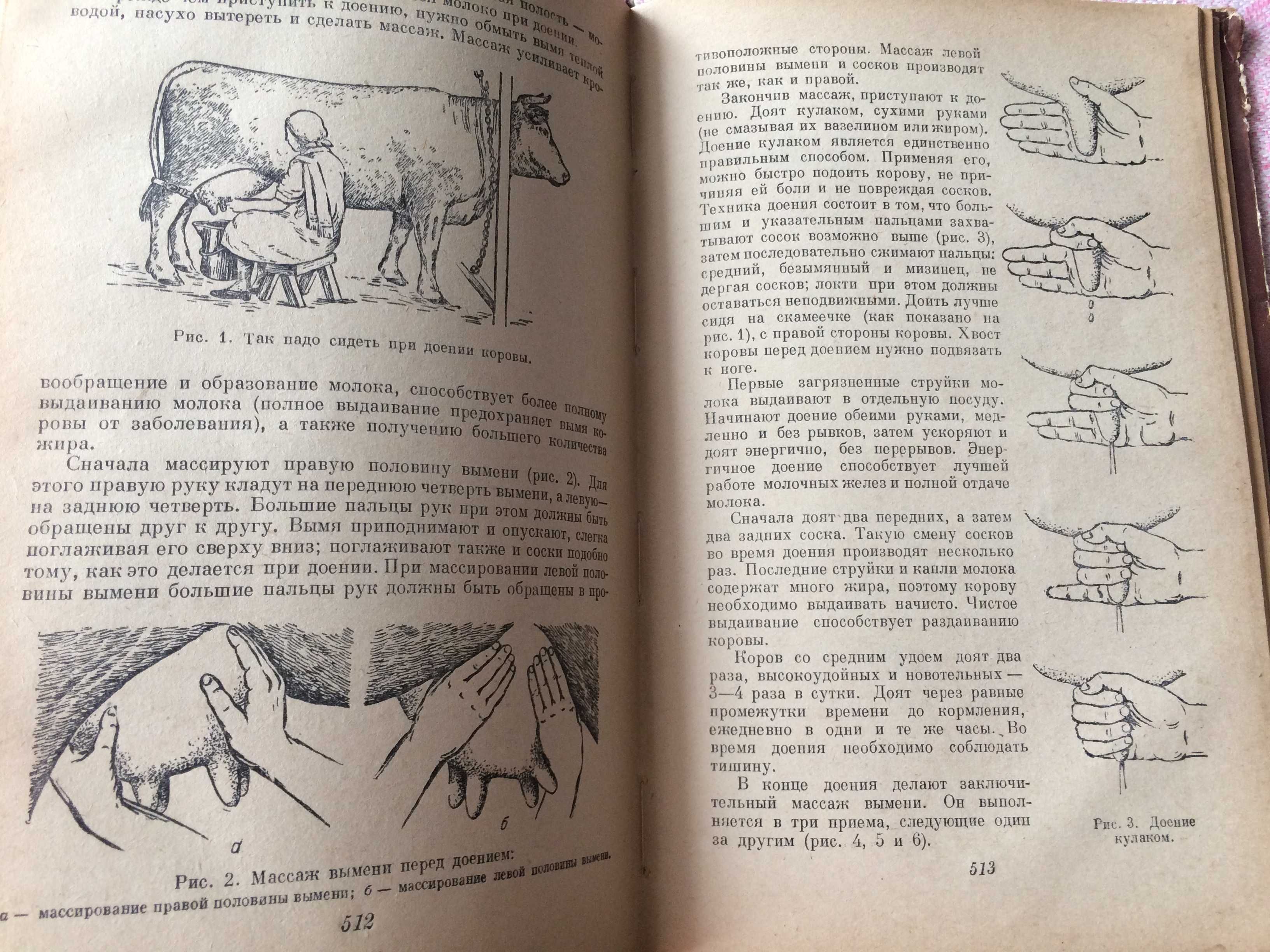 Домоводство 1958 Первое издание Сельхозгиз Демезер Дзюба