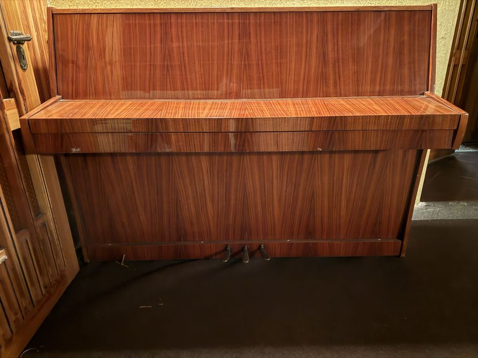 Pianino Calisia, polskie