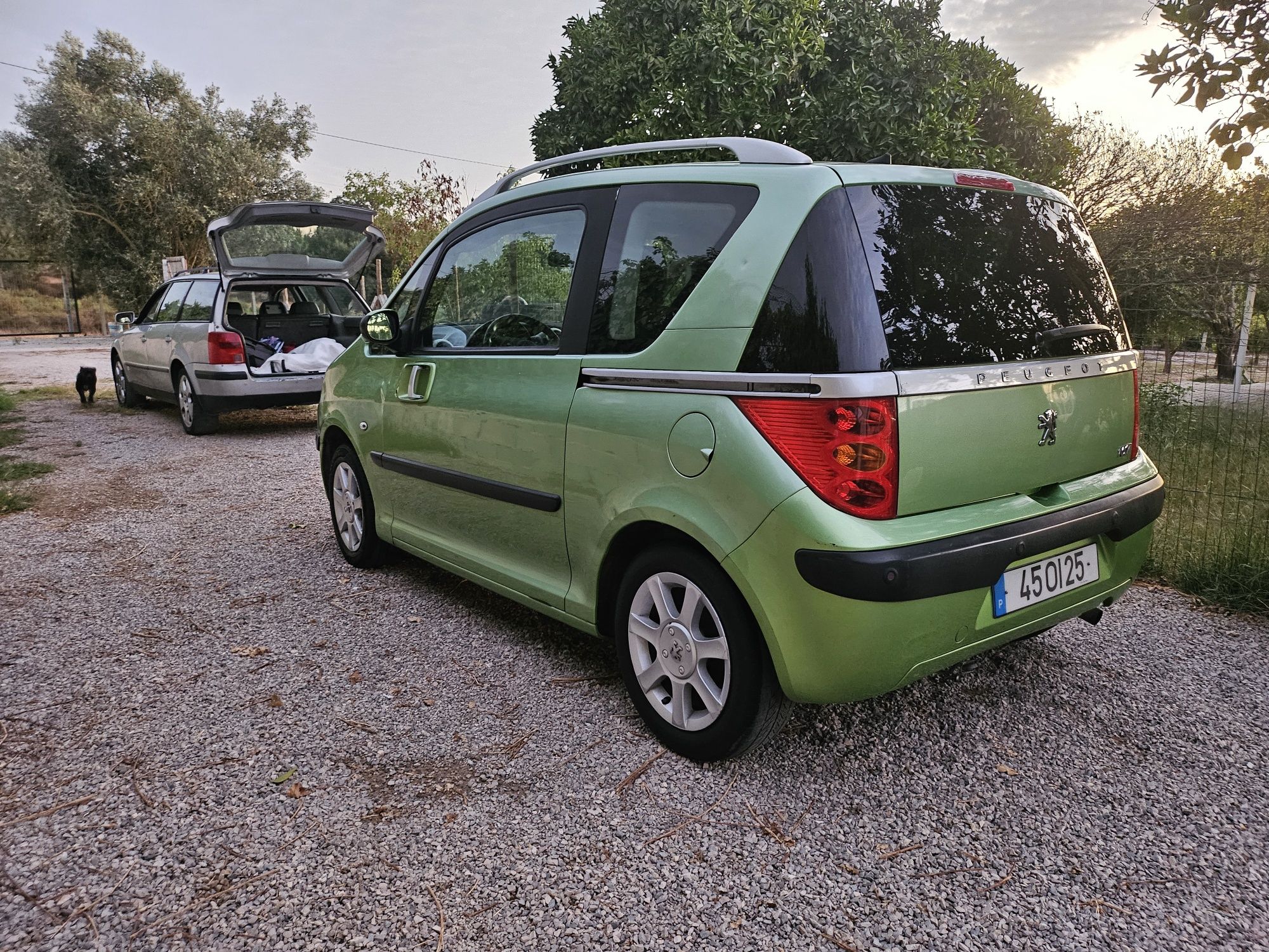 Peugeot 1007 1.4 HDI