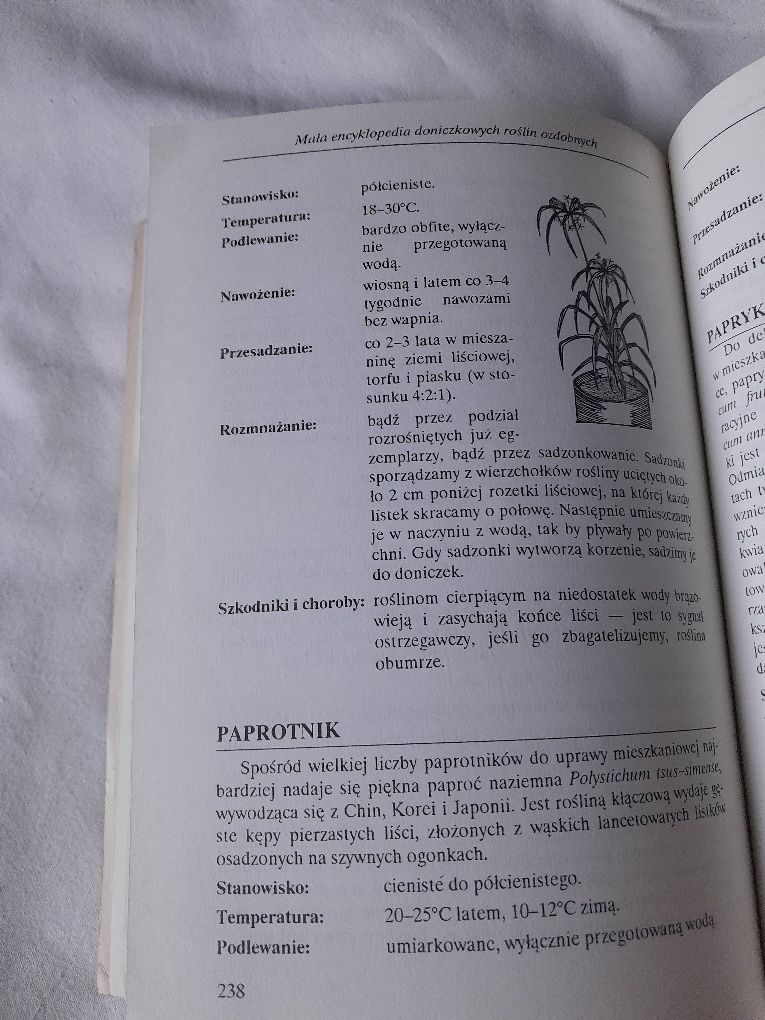 Encyklopedia roślin doniczkowych