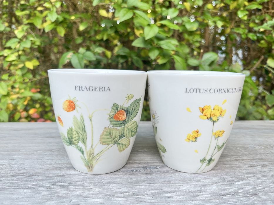 Порцелянові чашки Marjolein Bastin