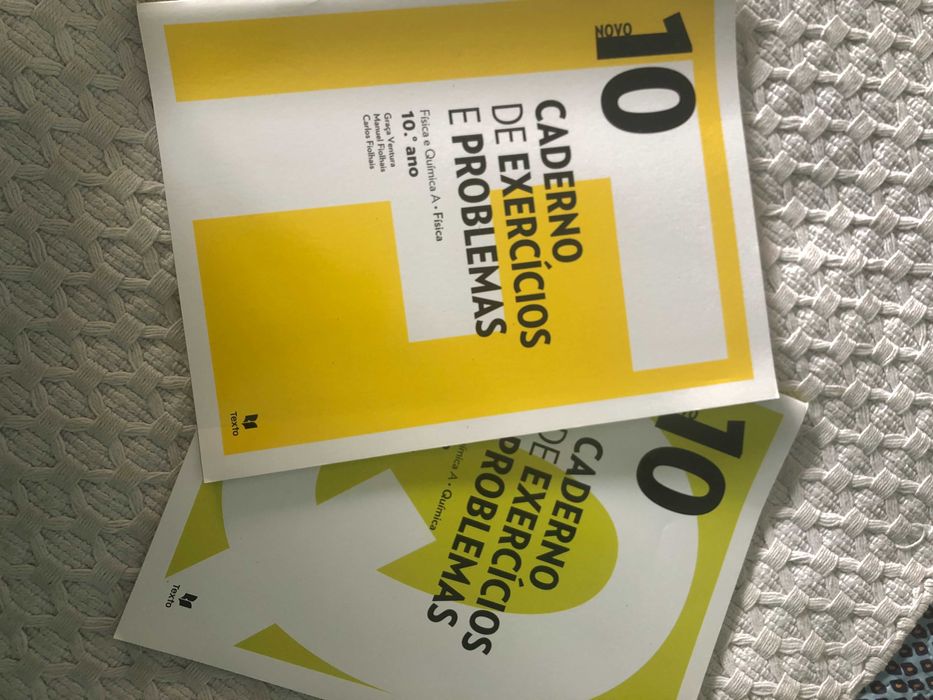 Novo 10 Física e Química A (caderno de atividades)