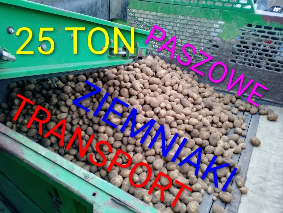 Ziemniaki 25 ton paszowe transport odpadowe przemysłowe dla zwierząt p