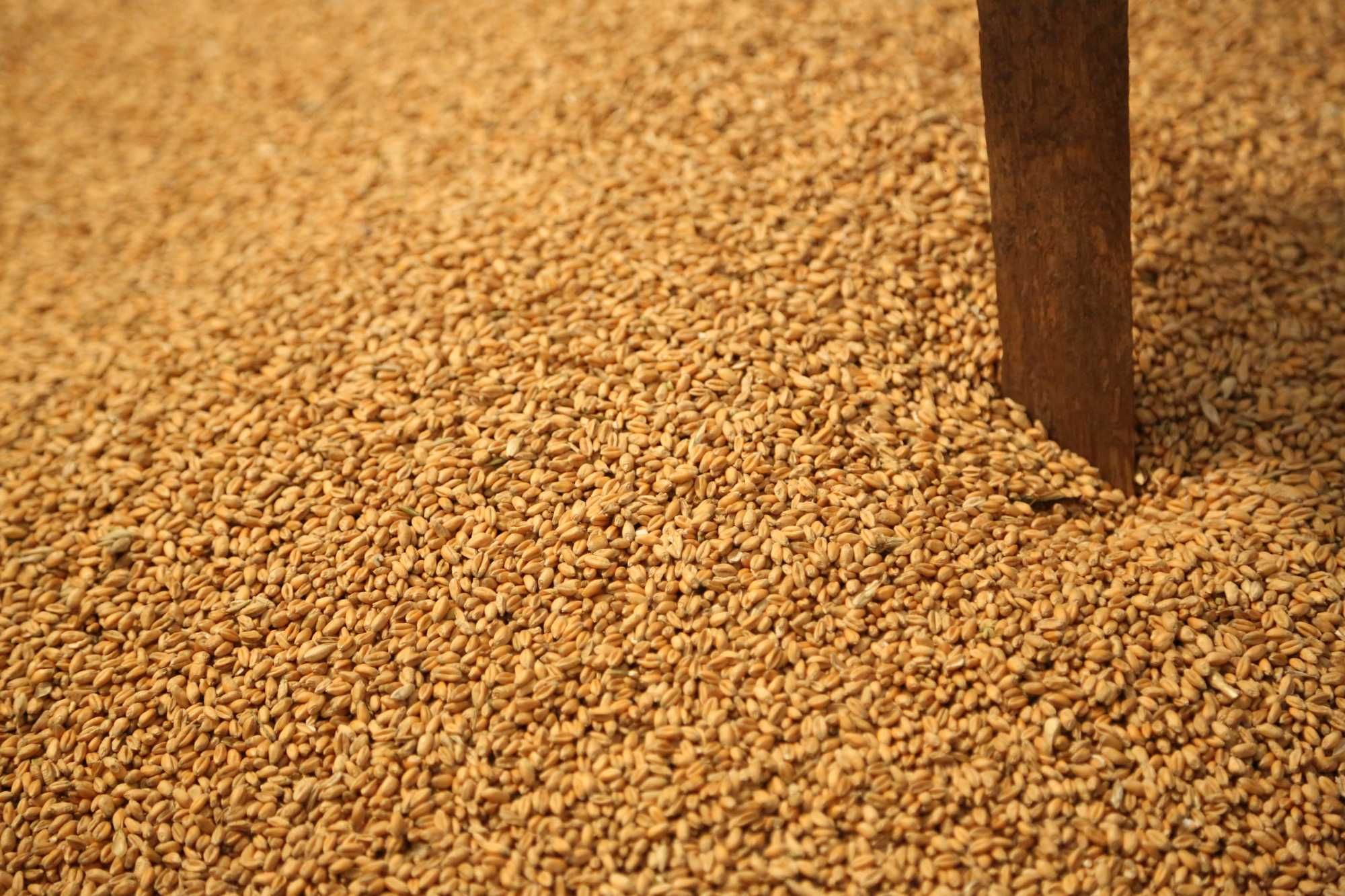 Mąka pszenna i żytnia ze zboża z własnych upraw.