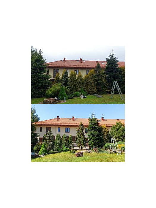 Cięcie/pielęgnacja drzew i krzewów, żywopłotów
