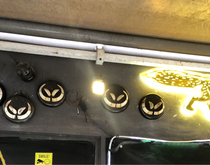 Dentes e cornos de javal