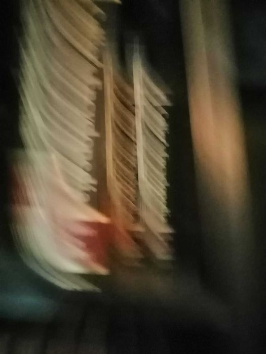 livro colliers dictionary