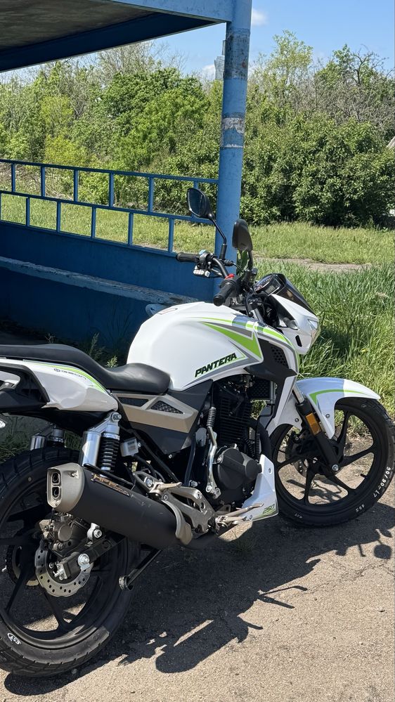 Geon pantera 250