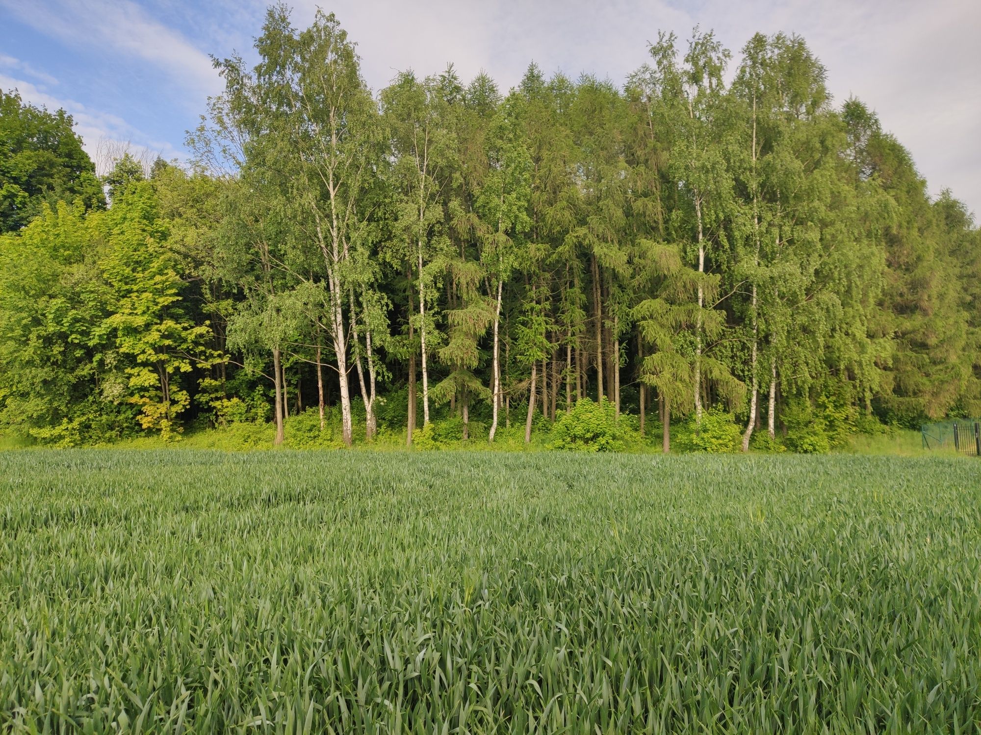 Działka budowlana 660m2 z widokiem na Park Krajobrazowy Szkała