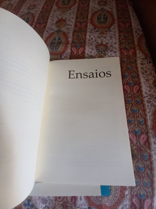 revista de poesia Golpe de Asa número 2