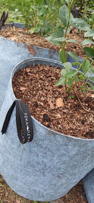 Grow bag, гроубег, контейнер для рослин