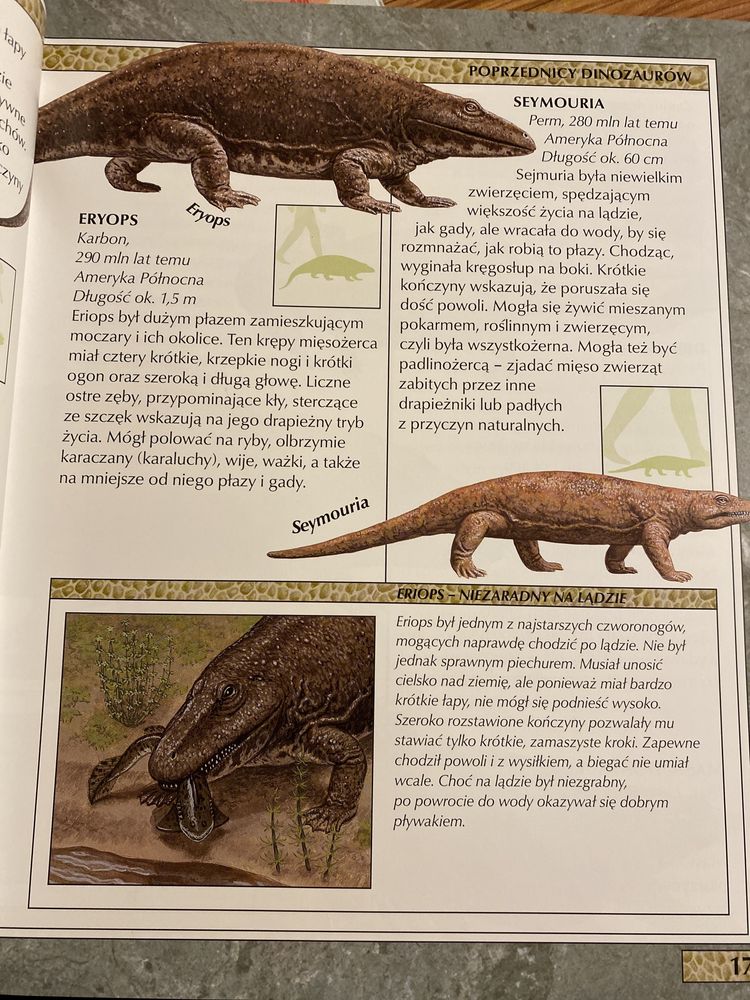 Encyklopedia Dinozaurów i innych zwierząt prehistorycznych J.Malam,