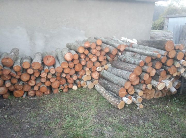 Продам дрова різних пород