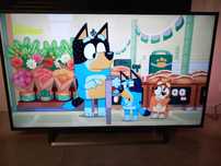 Telewizor Philips / 55 cali / Smart / DVB-T2