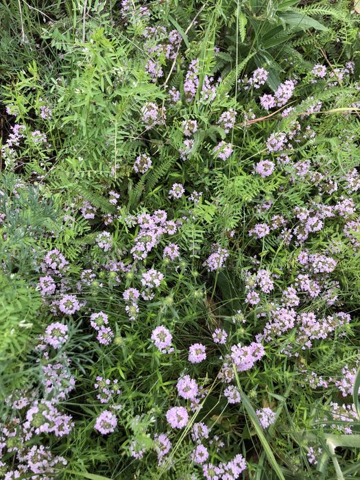 Сіль для ванни «Тихий вечір»