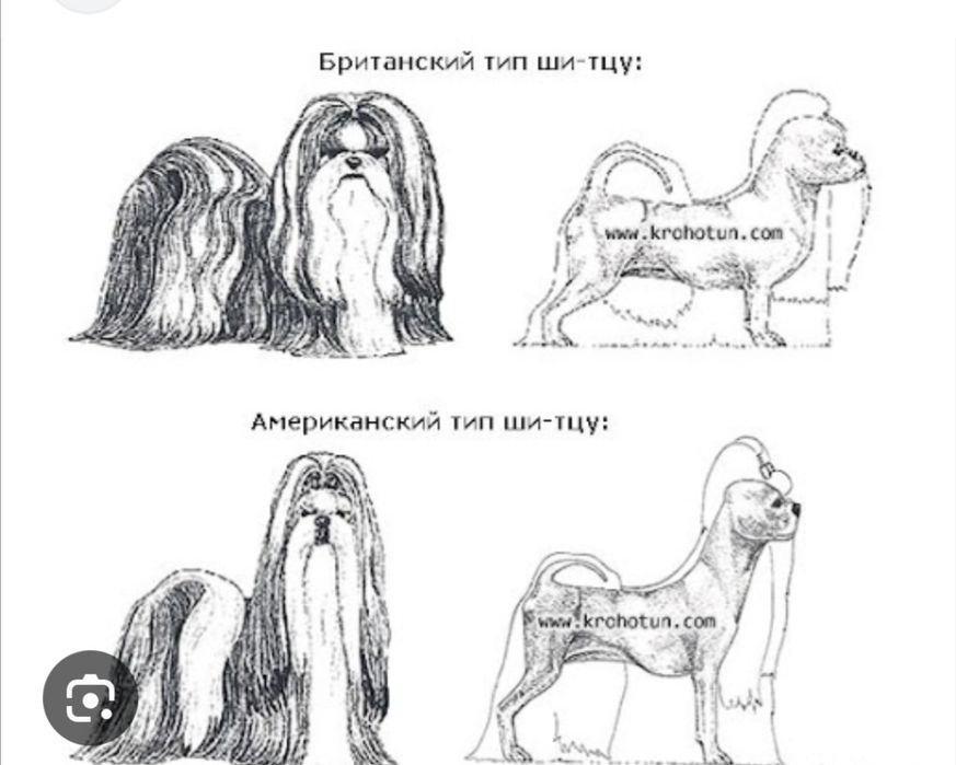 Запрошуємо на побачення