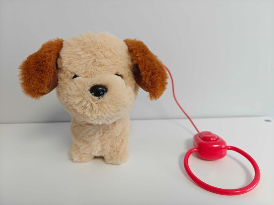 Piesek chodzący i szczekający na smyczy