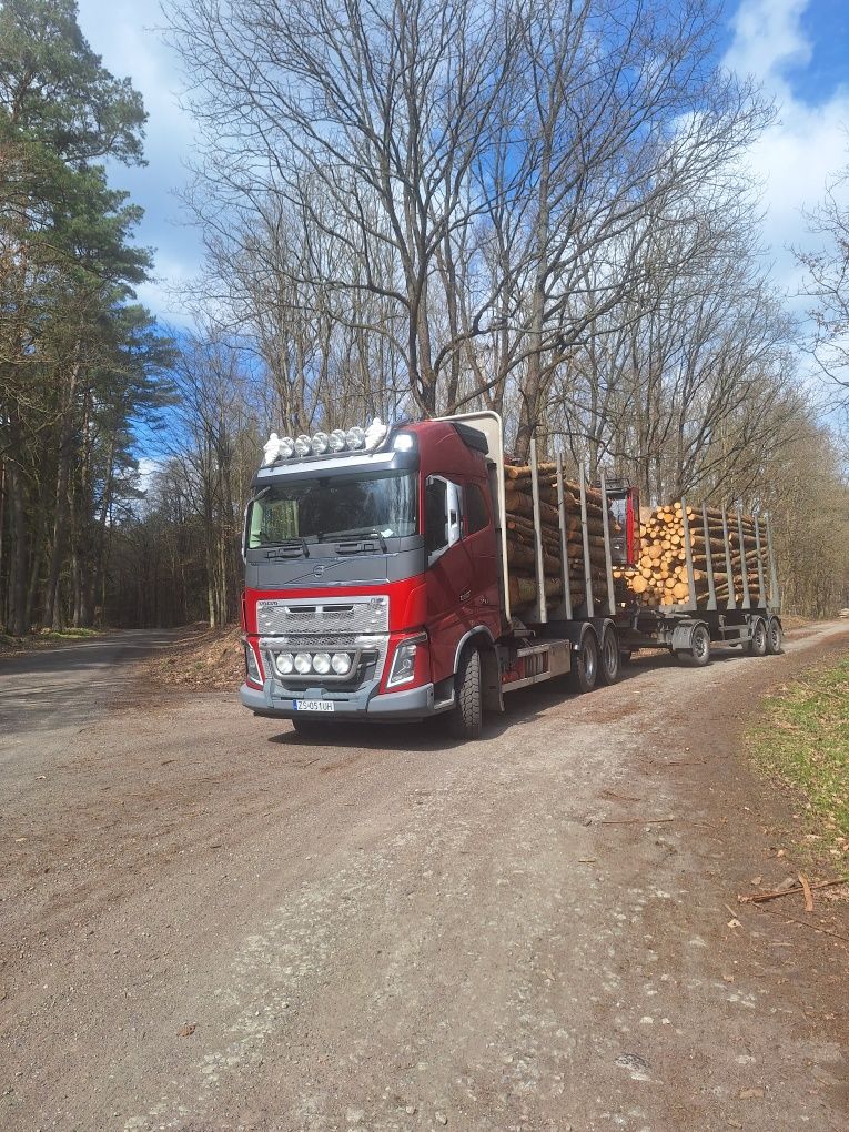 Volvo FH16 750 Loglift do drewna drzewa lasu 6x4