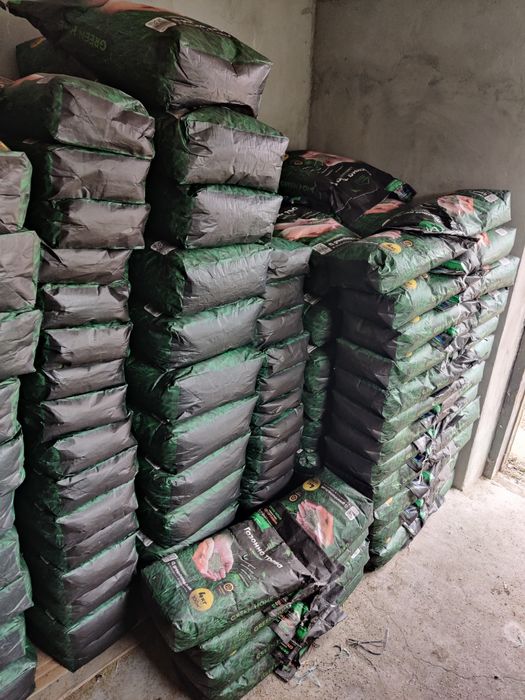 Газонна трава Тіньова 10 кг, трава для газону, насіння газонної трави