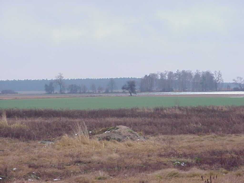 Grunt (jeszcze) rolny, 11,54ha, 19,99zł/m2 - Bielawa, blisko obwodnicy