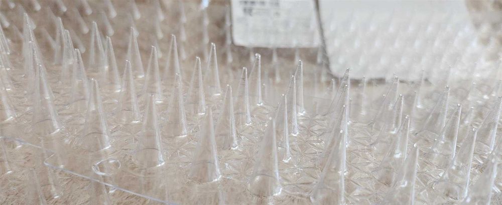 Kolce na ptaki, plastikowe, przeźroczyste, 4 paski, NOWE !