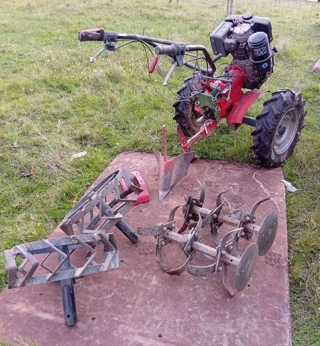 Motocultivador lombardini + reboque