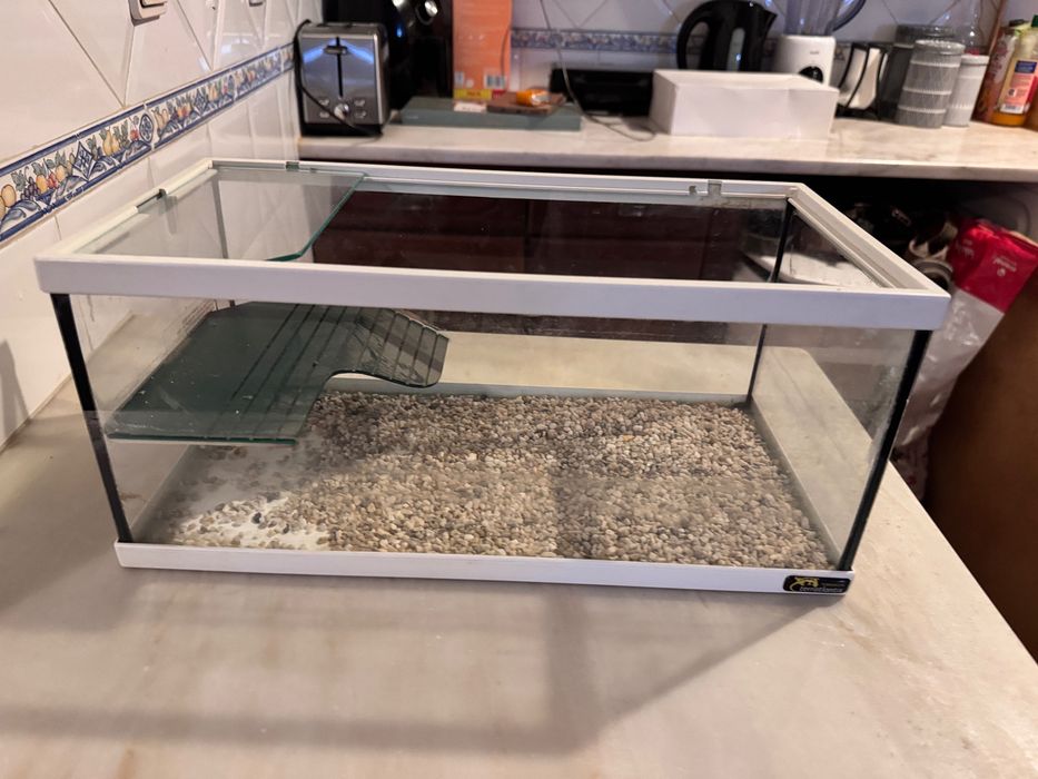 Aquário tartaruga ou peixes