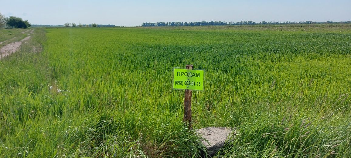 Продам велику ділянку для будівництва неподалік Вінниці (без комісії)