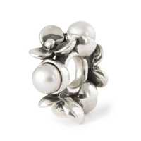 Nowy charms Trollbeads