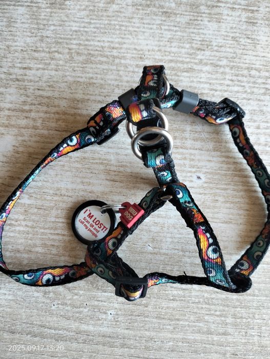 Речі для маленьких порід собак