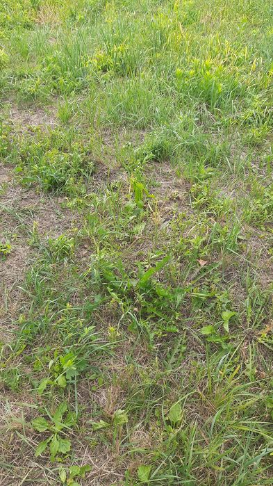 Рованці ділянка під забудову вул.Залізнична