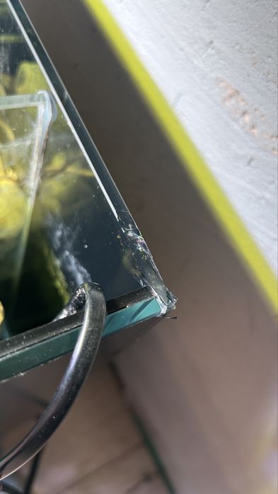 PILENE sprzecam akwariwum