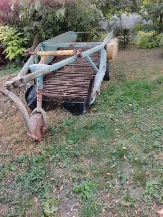 Kopaczka elewatorowa do ziemniaków