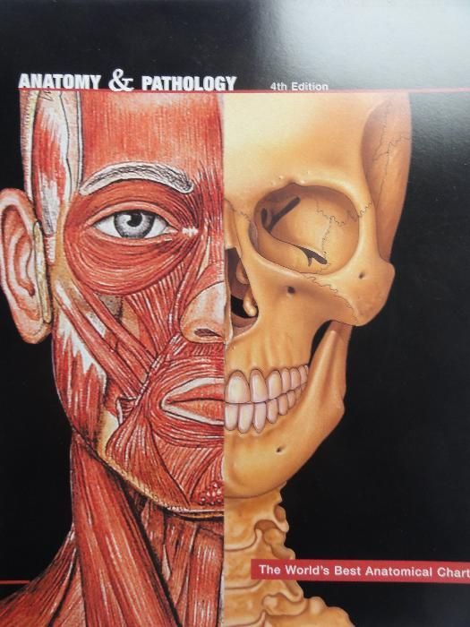 LIVROS MEDICINA - Anatomy & Pathology 4th Edition - EN