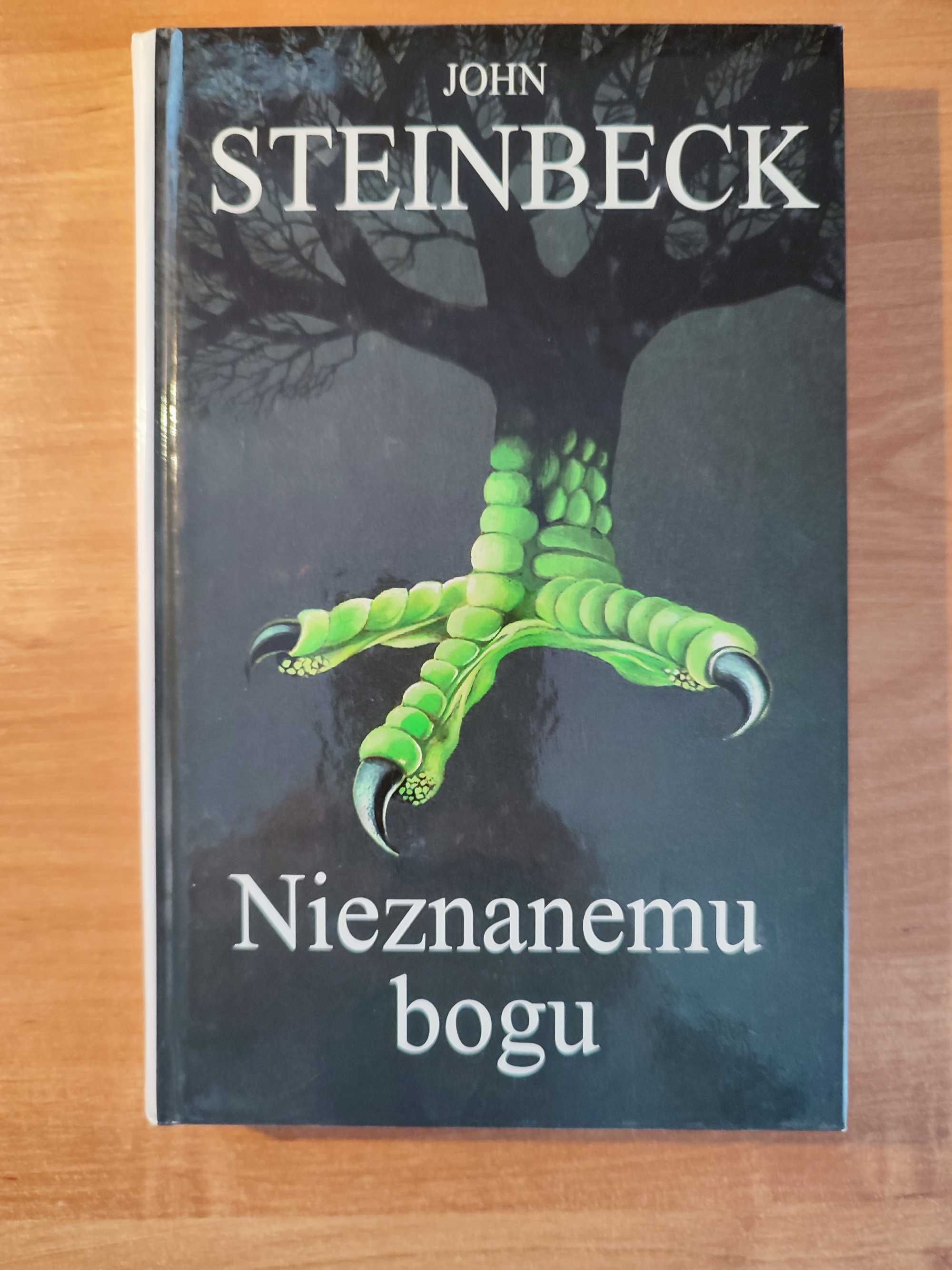 Nieznanemu Bogu John Steinback