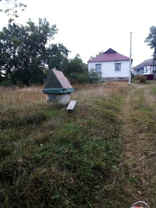 Продаж   будинку/ Мрія пасічника/Є-відновлення/Постанови